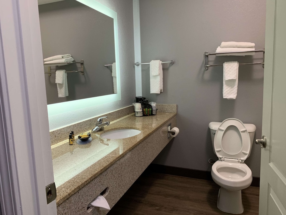 Best Western Plus Olive Branch Hotel & Suites 14/32