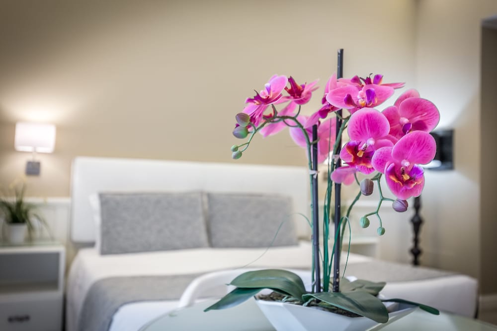 La Residenza Dell'orafo - Guest House 39/53
