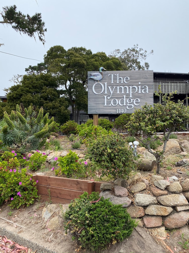 Olympia Lodge 1/39