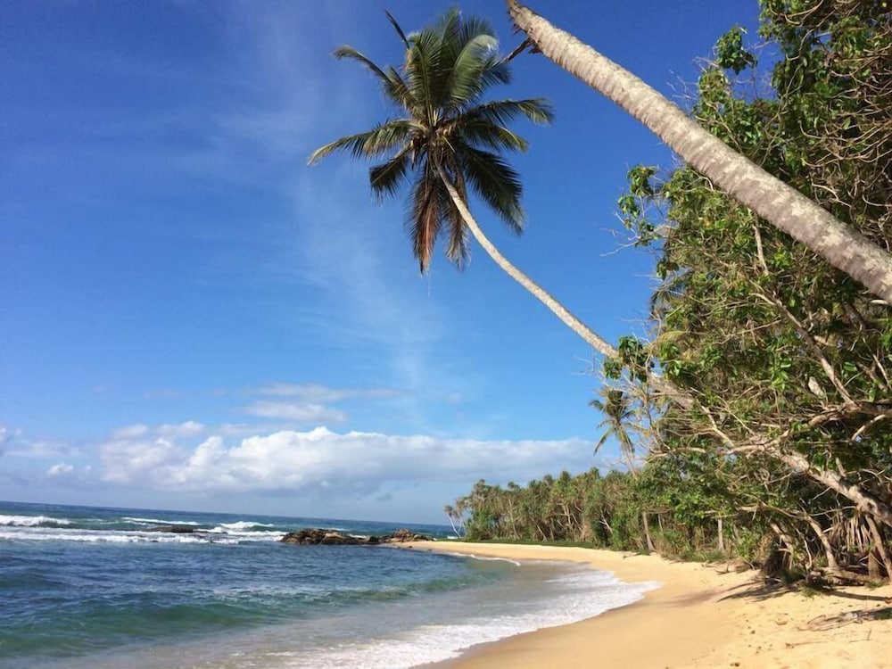 Eva Lanka Hotel 45/58