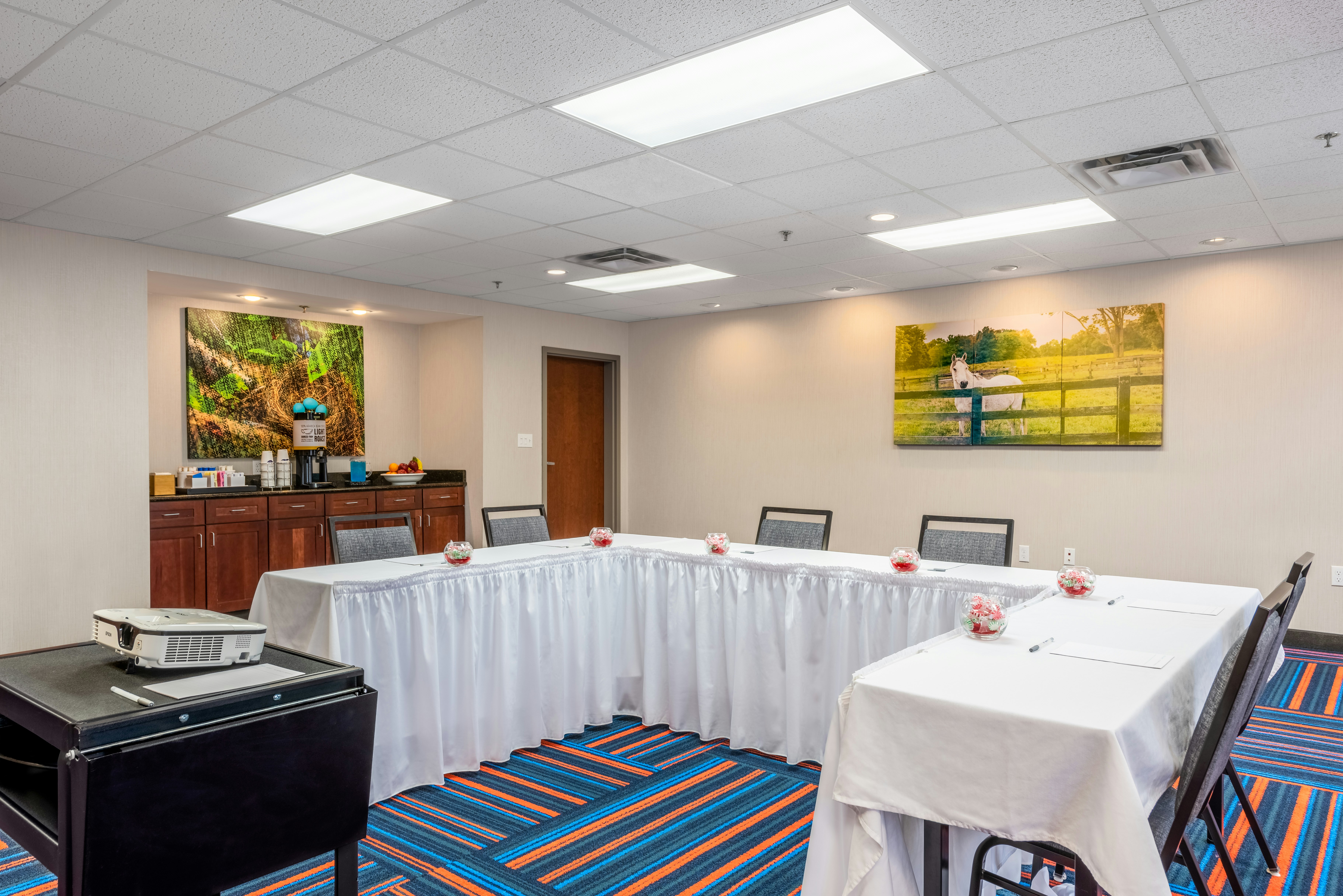 Hampton Inn & Suites Hopkinsville 37/45
