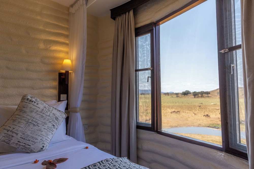 Salt Lick Safari Lodge 12/55