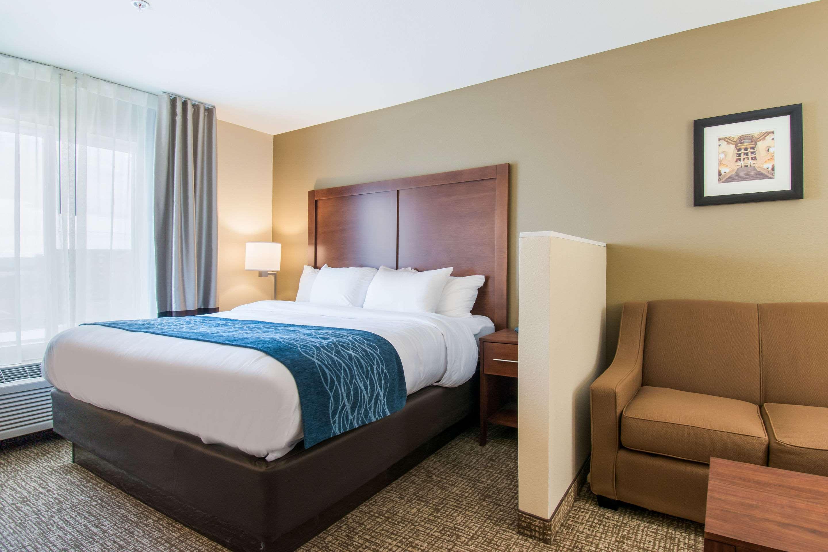 SUITE, KING BED