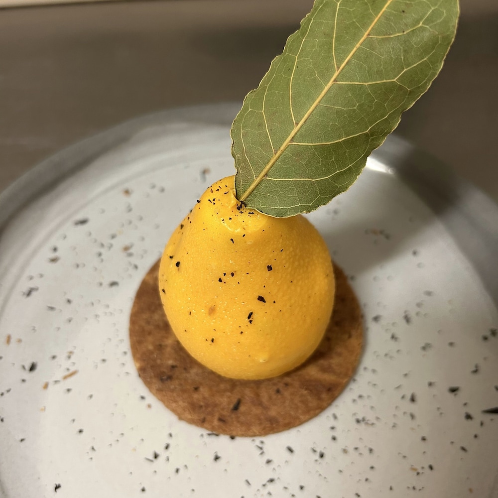 HOTEL LE ROC AU CHIEN 19/53