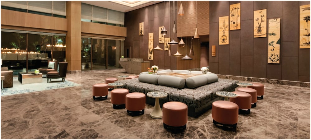 The Leela Ambience Convention Hotel Delhi 40/63