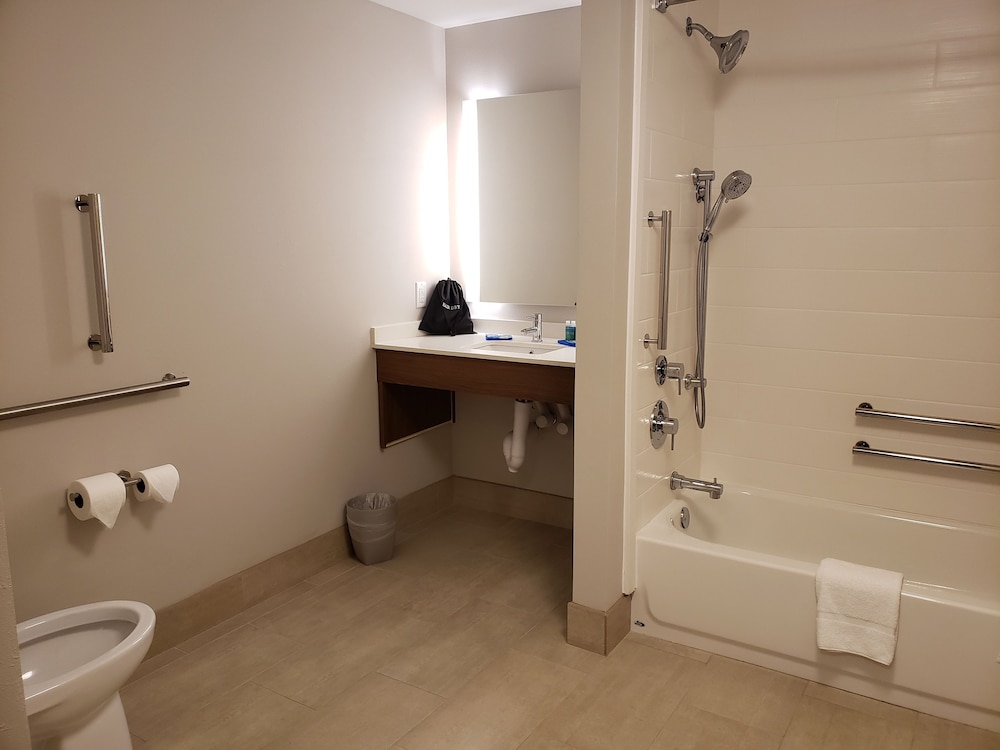 Holiday Inn Express Macon North 19/69