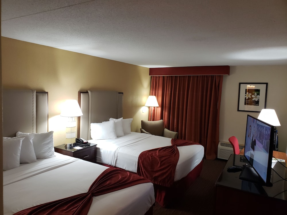 Business, Single, 2 Queen Beds