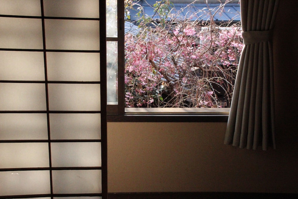 Haruya Umekoji 32/50