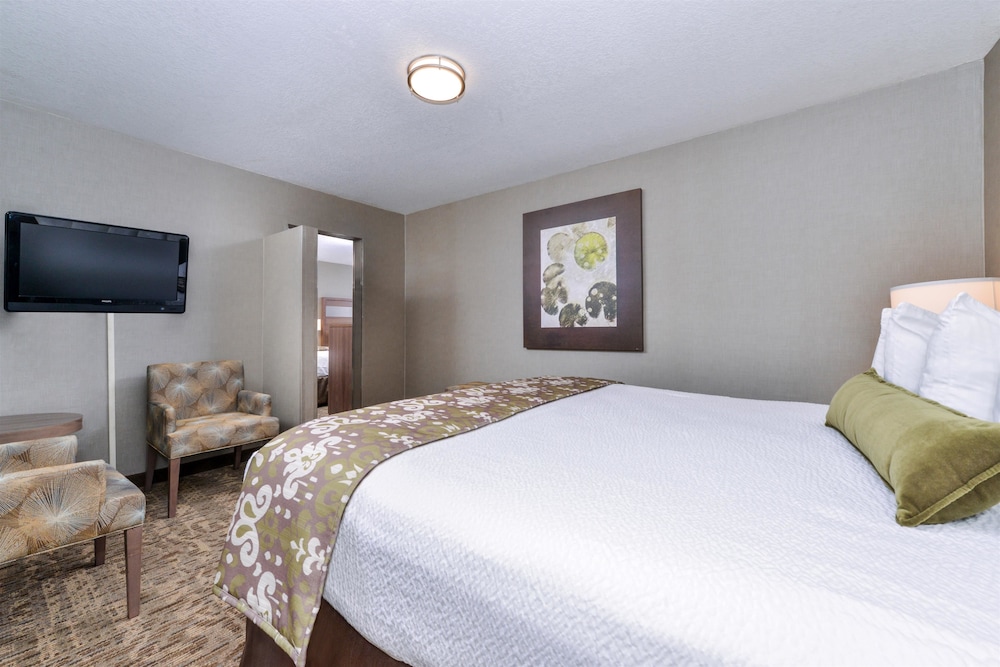 Best Western Plus Anaheim Inn 15/59