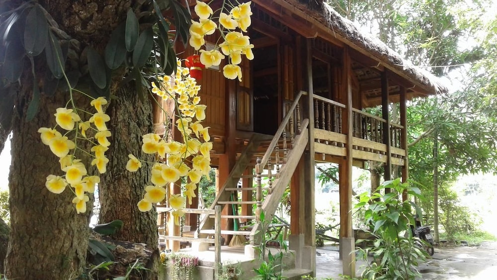 Linh Soi Homestay - Hostel 4/43