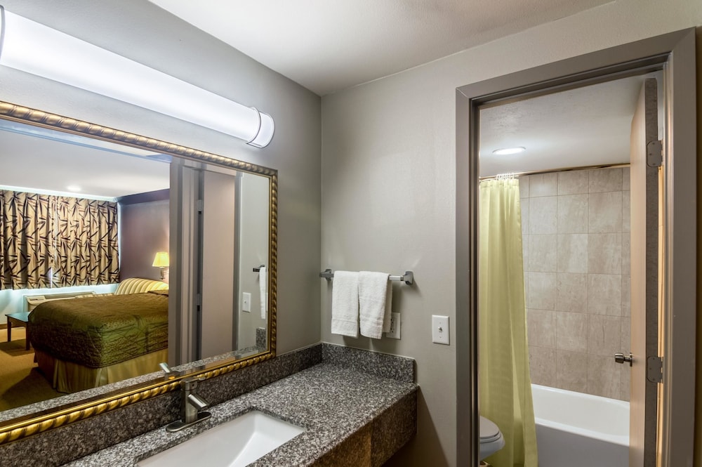 Rodeway Inn Arlington Entertainment District Area 15/41