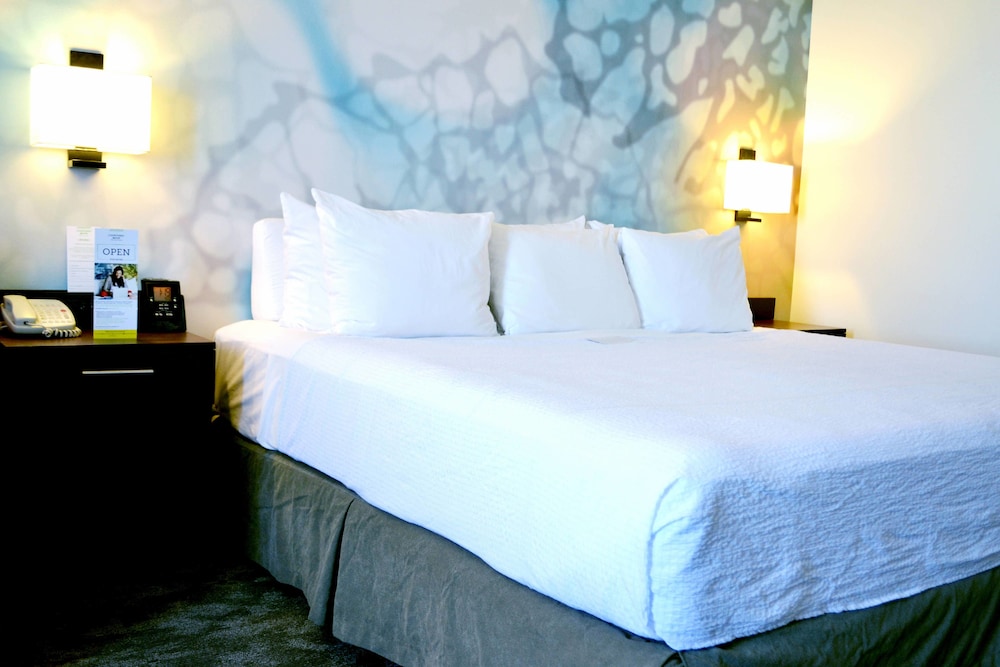Courtyard By Marriott San Luis Potosi 20/42