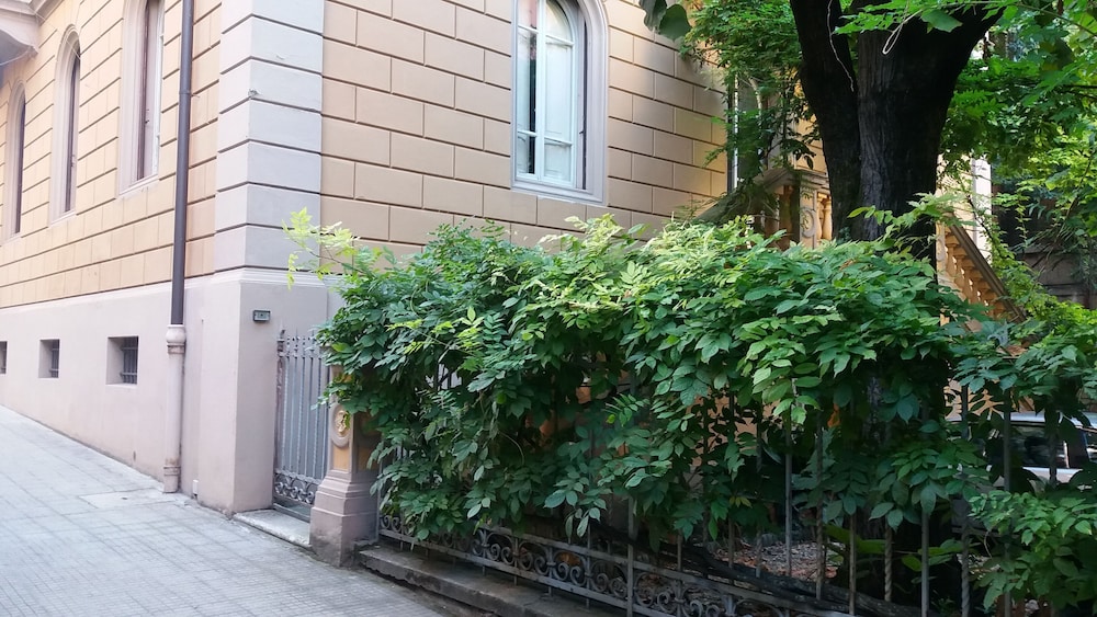 Tilia 31/41