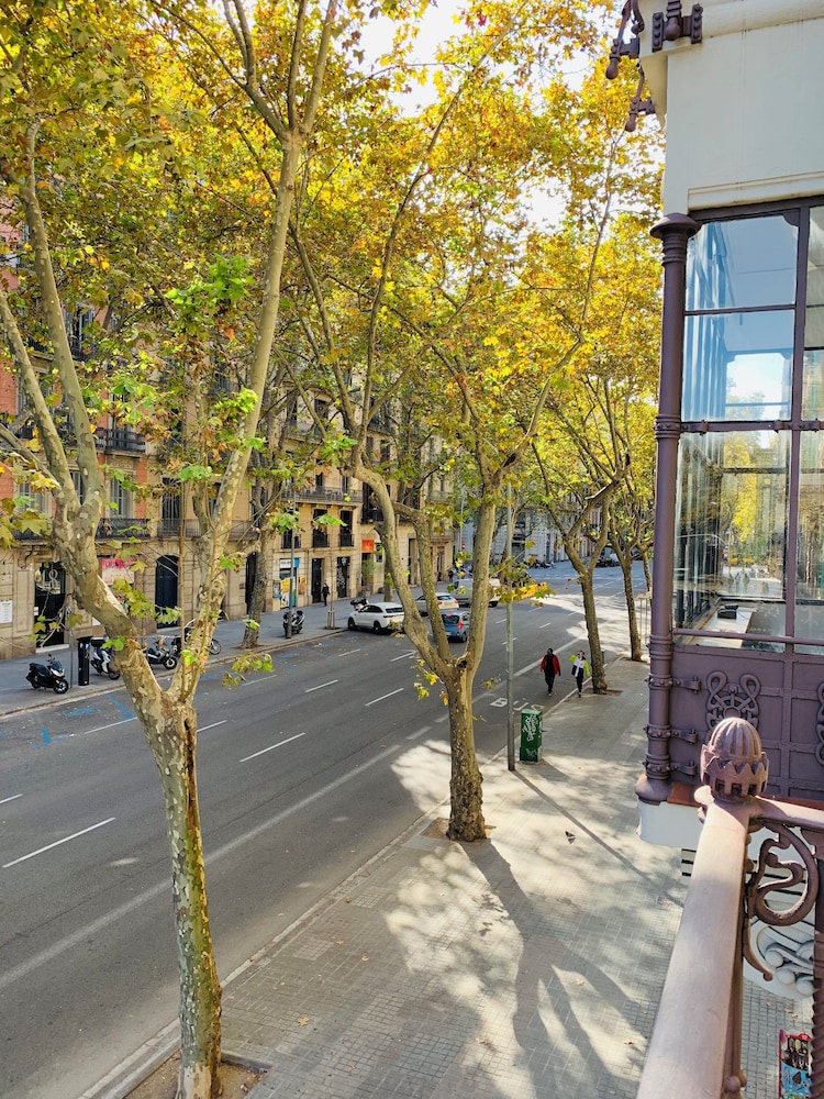 Hip Karma Hostel Shared Rooms 27/50