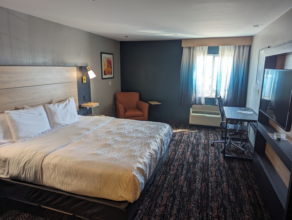 Room, King Bed