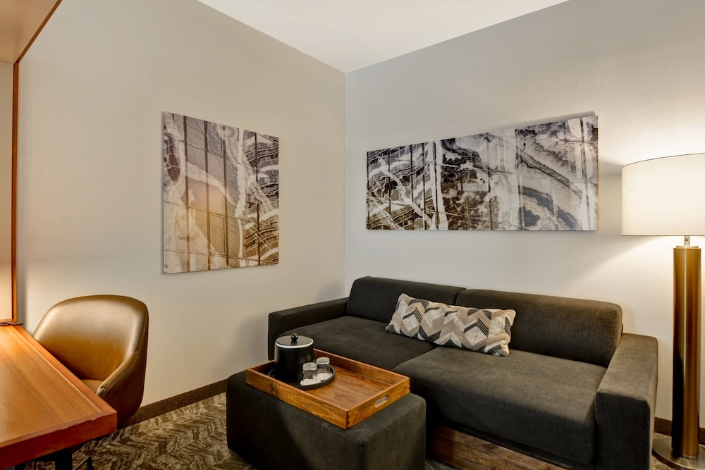 Springhill Suites by Marriott Midtown Cincinnati 36/52