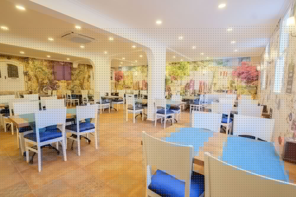Wien Star Hotel 24/41