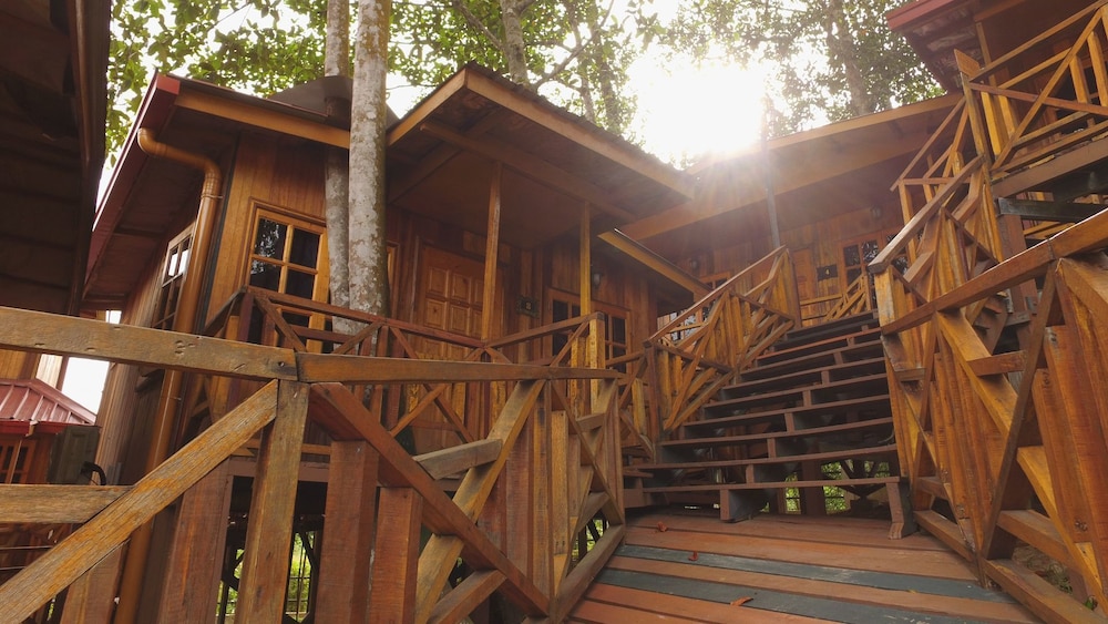 Borneo Tree House 2/25