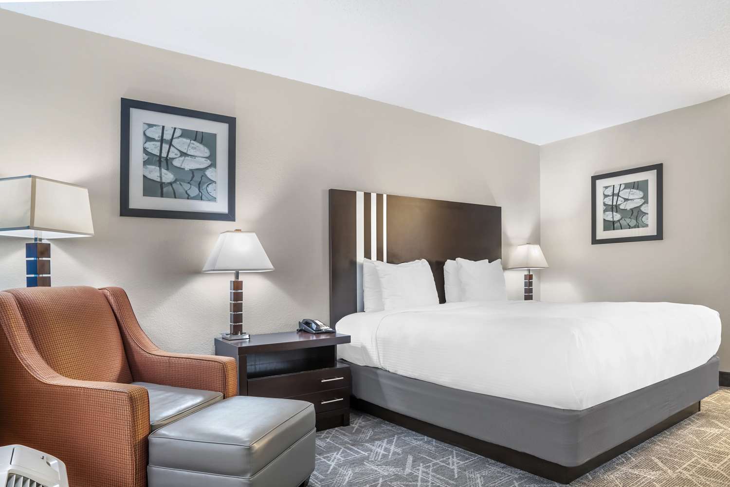 Room, King Bed