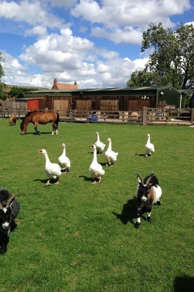 Skipbridge Farm Cottages 44/50
