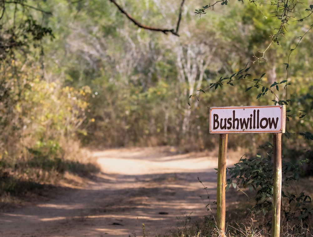 Bushwillow Collection 28/33