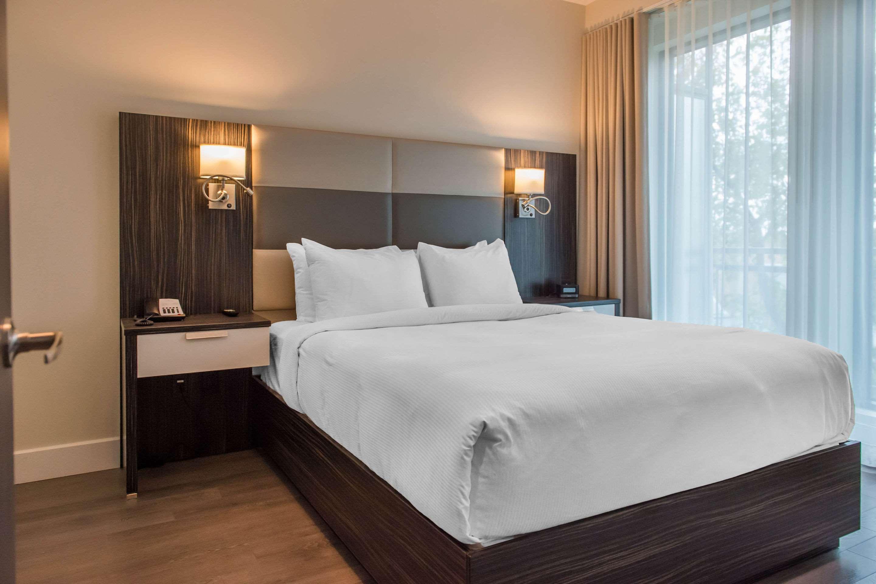 Suite, King Bed