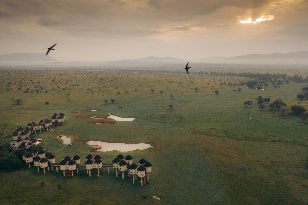 Salt Lick Safari Lodge 32/55