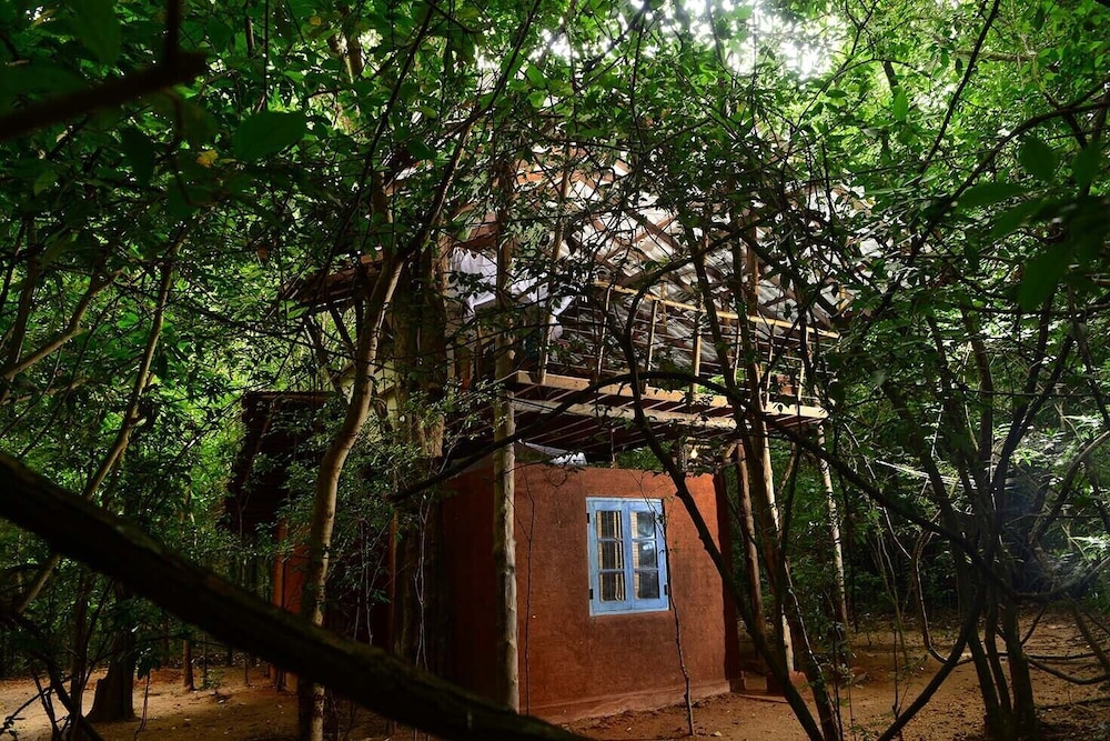 Back Of Beyond Pidurangala 45/47
