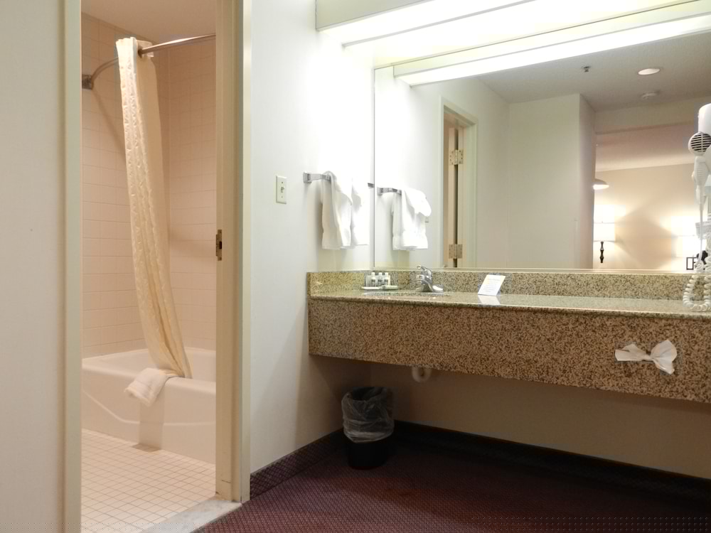 Ashmore Inn and Suites 21/61
