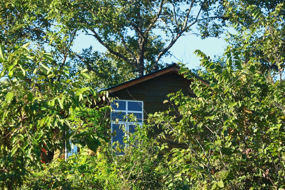 Pinthaliya Resort & Spa 45/50
