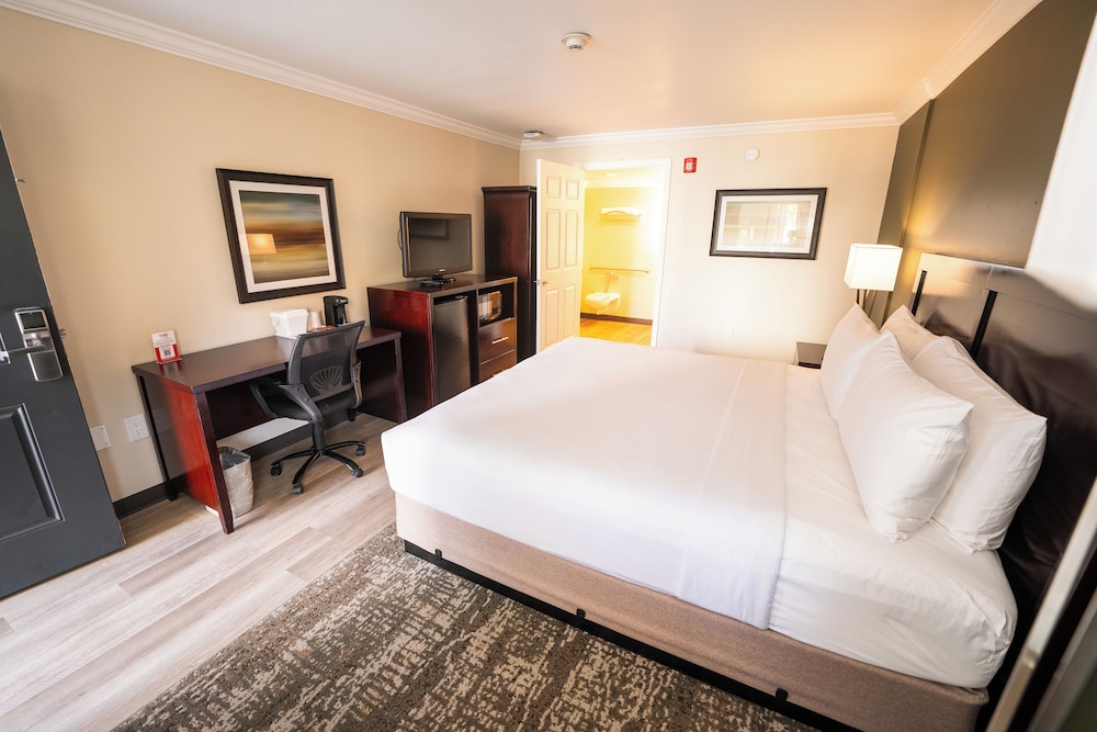 COZY, KING BED, ACCESSIBLE