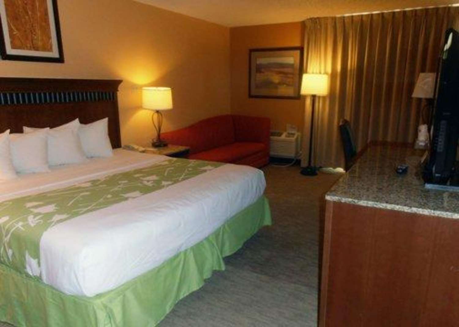 Efficiency, King Bed