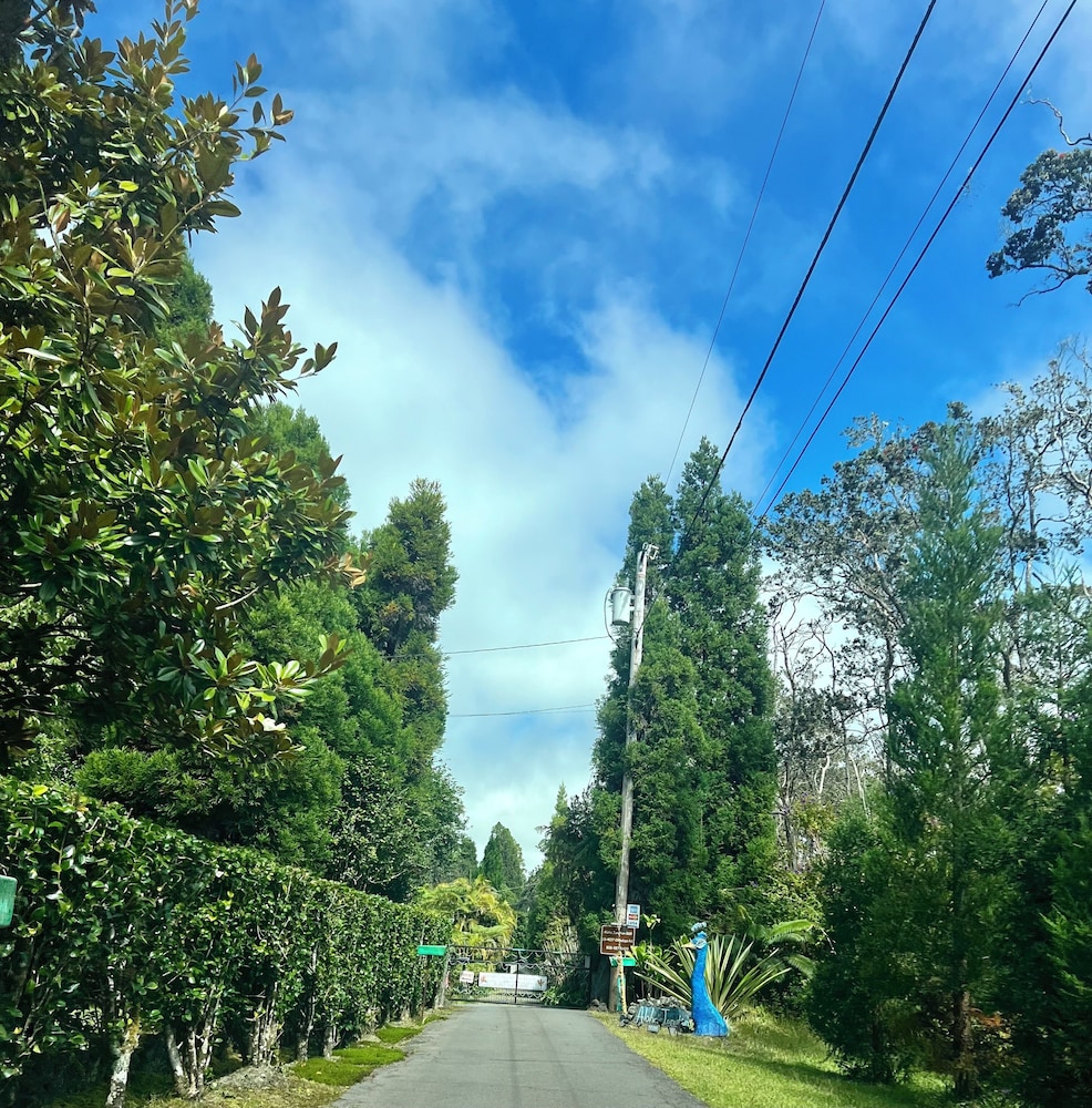 Aloha Junction Guest House 43/50