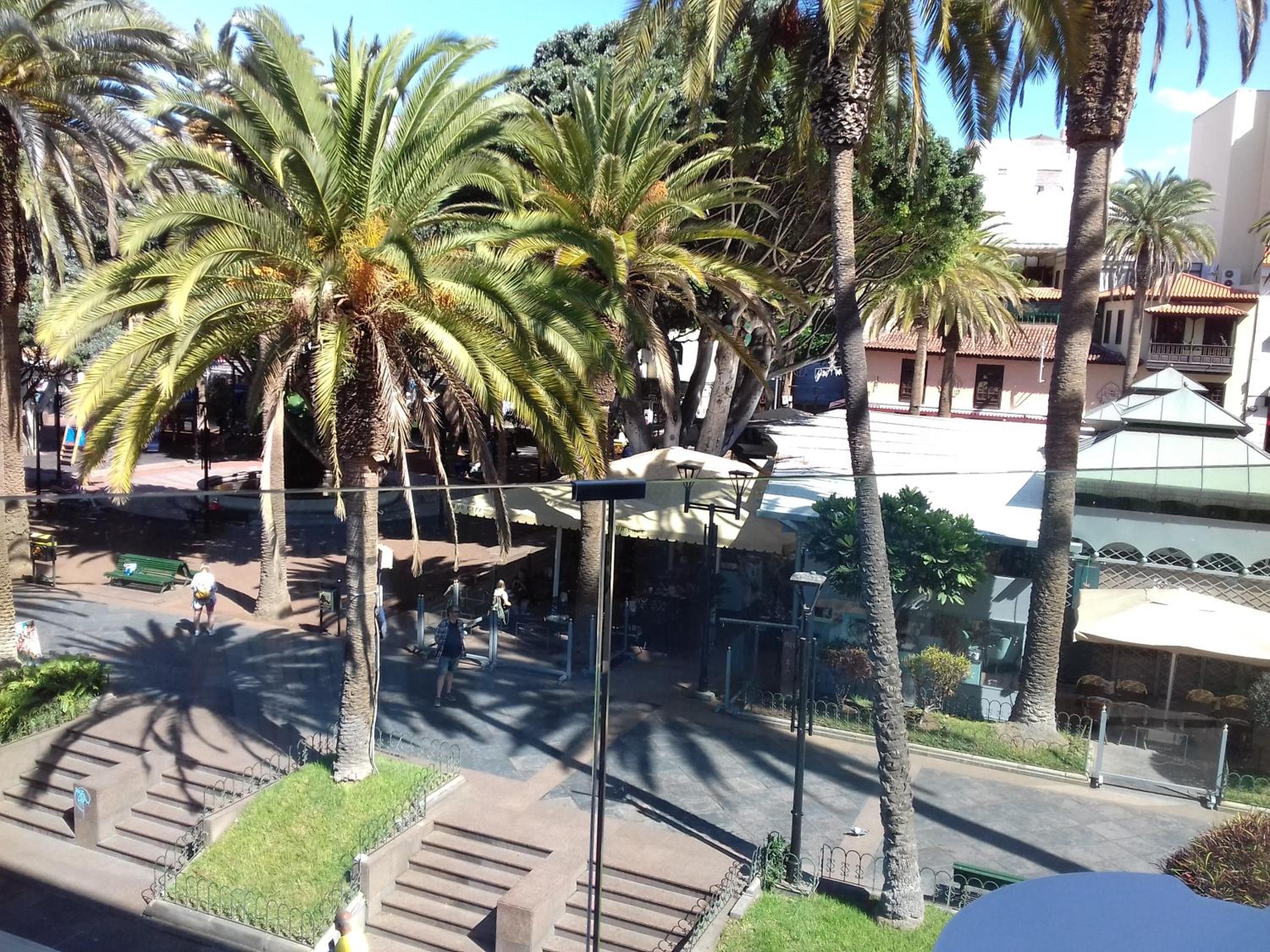 Hotel Tropical 48/56