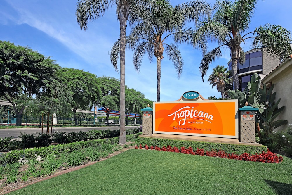 Tropicana Inn Suites 27/28