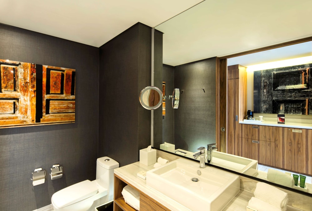 Hilton Mexico City Santa Fe 34/79