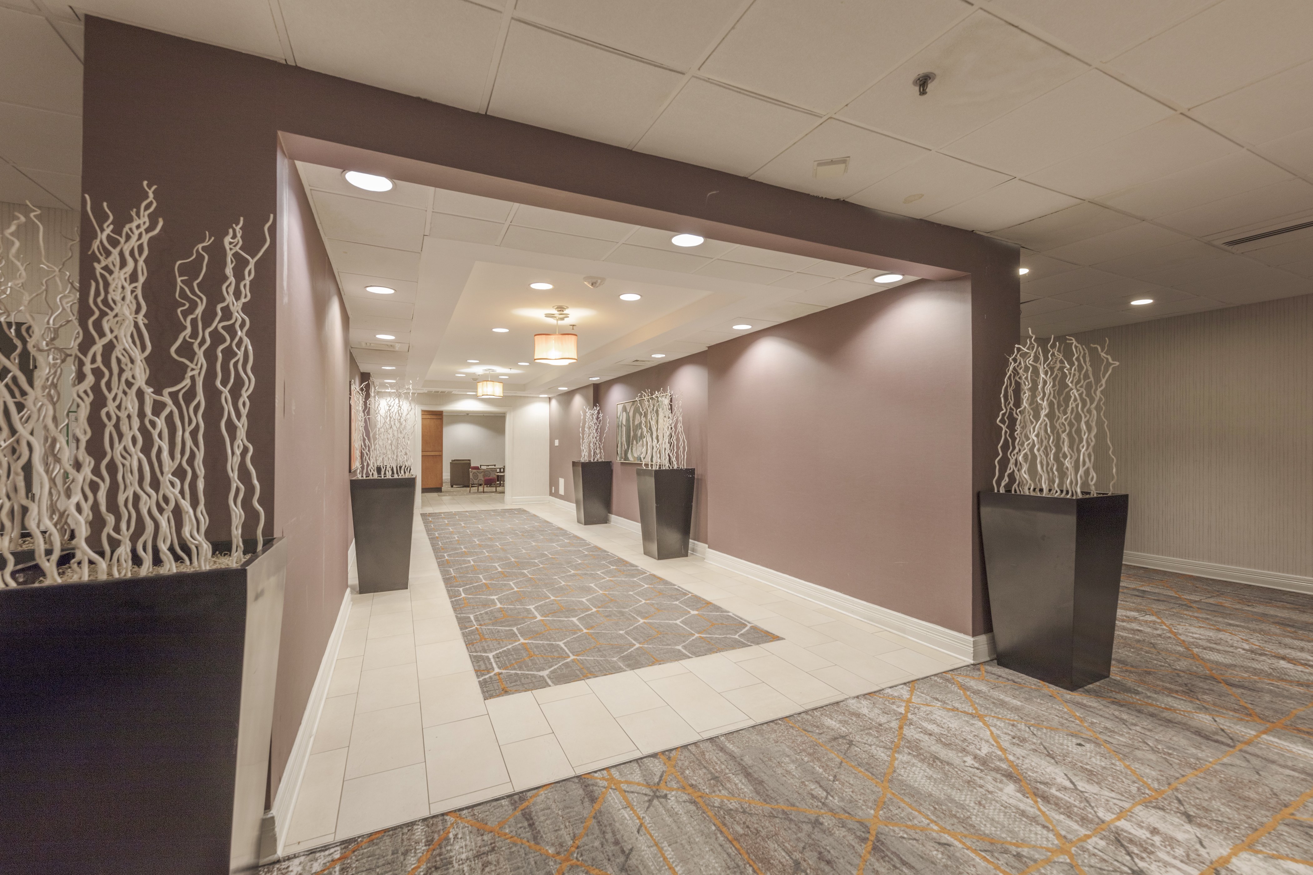 HOLIDAY INN AUSTIN MIDTOWN 10/78