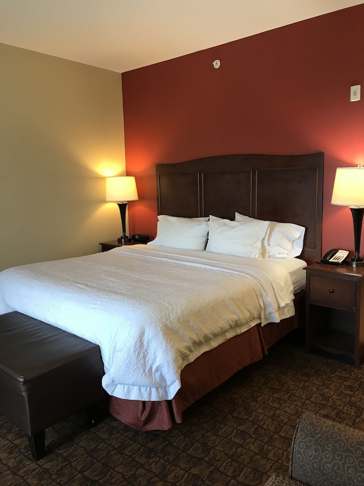 Hampton Inn Suites Mcallen 17/52