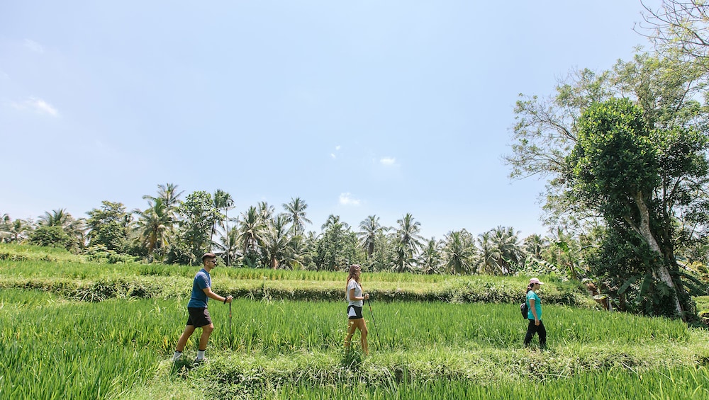 TEJAPRANA RESORT & SPA 26/50