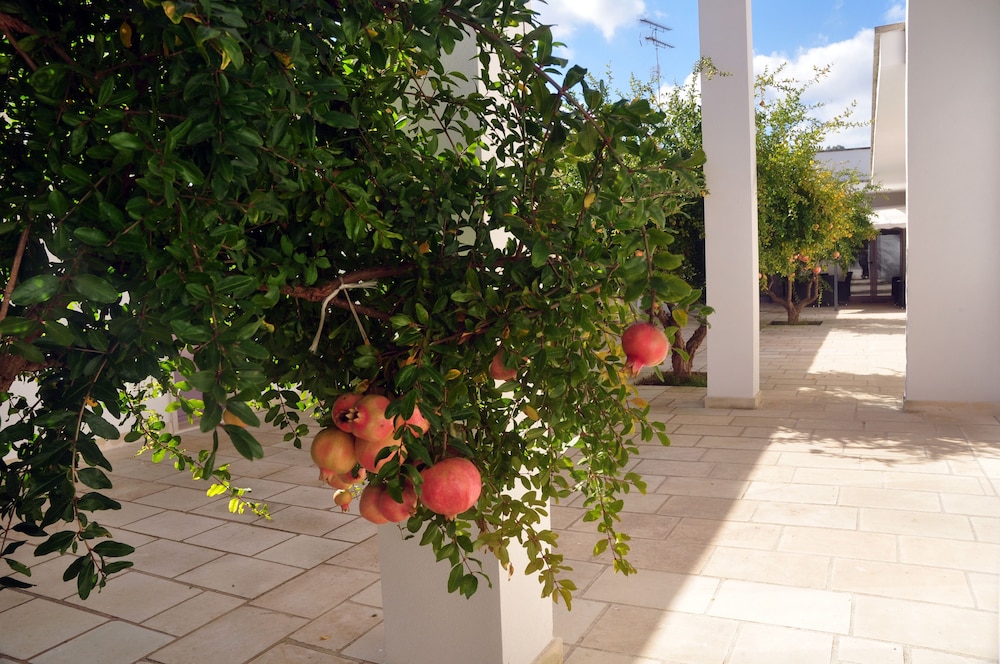 Corte Dei Melograni Hotel Resort 19/27
