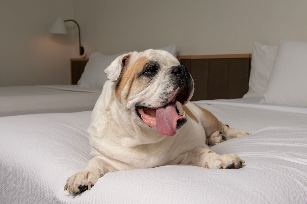 Towneplace Suites Marriott Cal Expo 21/50