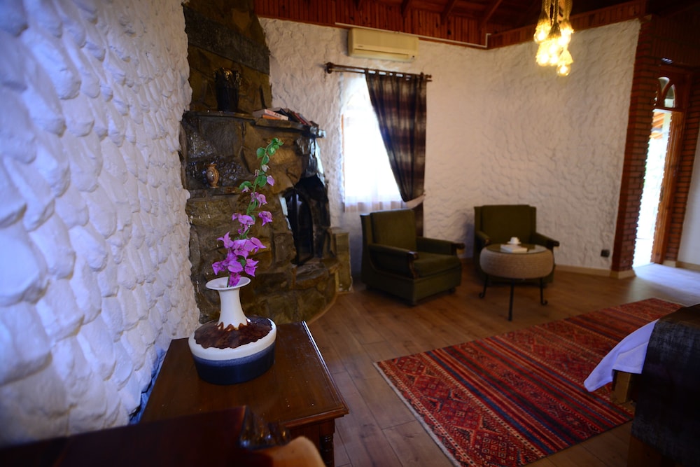 Tlos Butik Otel 33/50