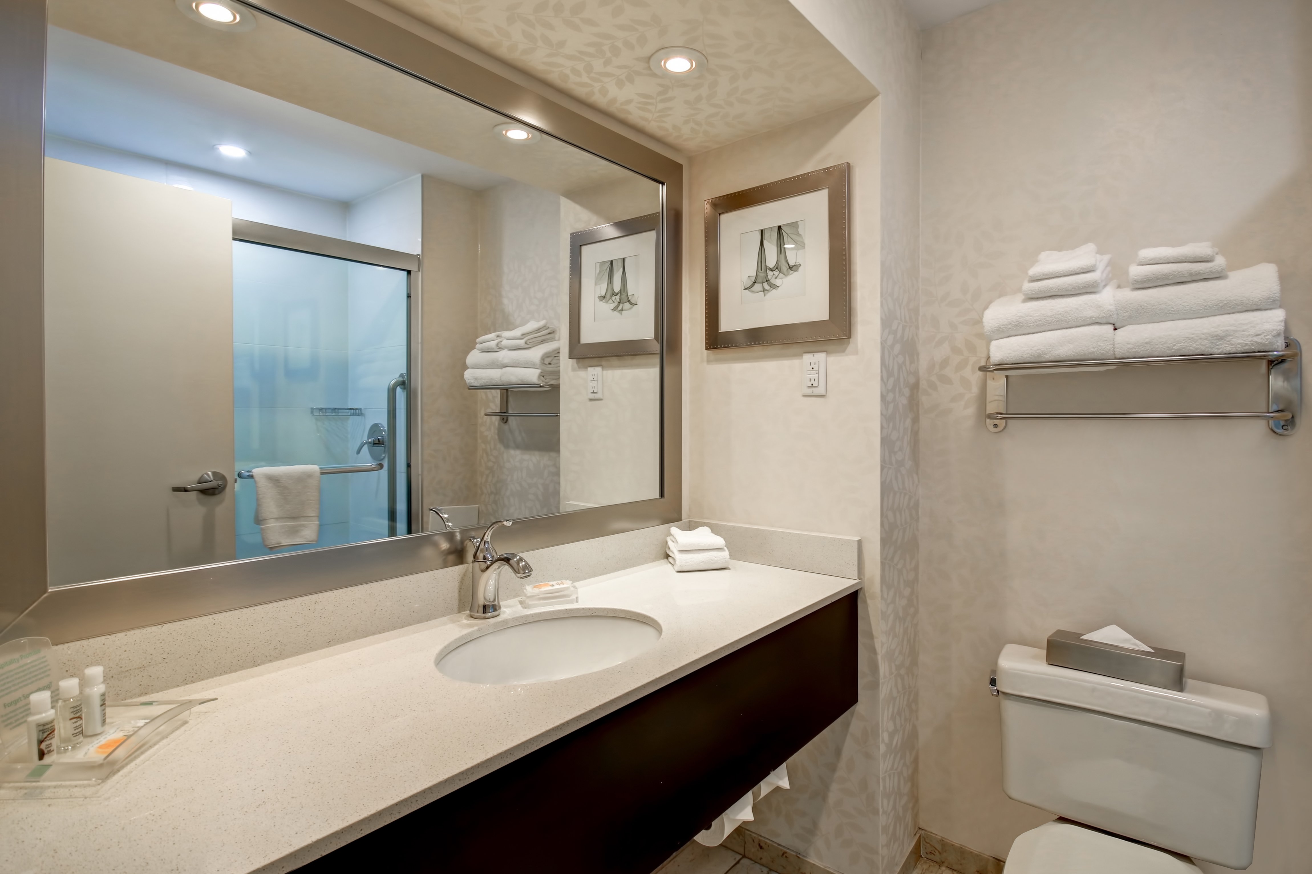 غرفة بسرير كوين لذوي الإعاقة، Holiday Inn Suites Windsor Ambassador Bridge 2/3