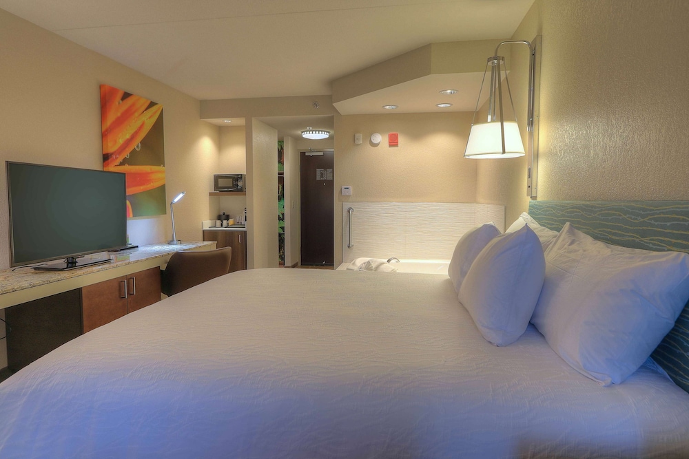 Hilton Garden Inn Pigeon Forge 16/50