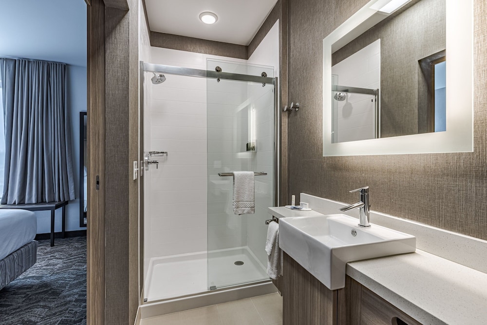 SpringHill Suites Detroit Sterling Heights 31/35
