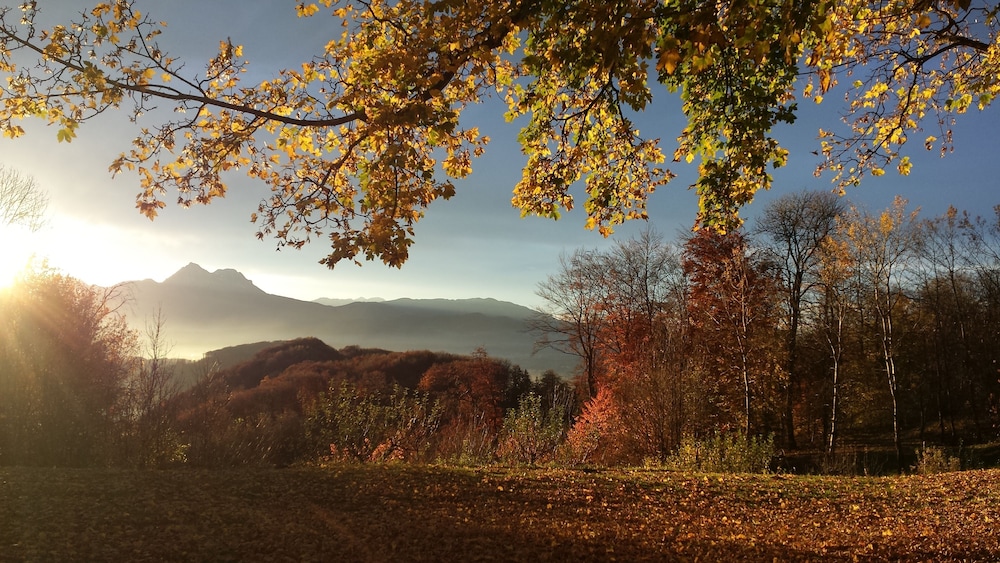 Die Gersberg Alm 55/63
