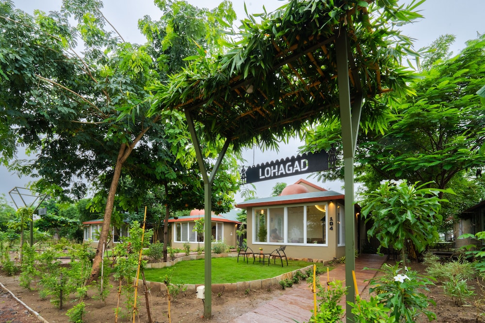Tathastu Tadoba 42/47