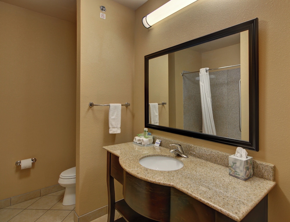 Holiday Inn Express Hotel And Suites Altus 65/69