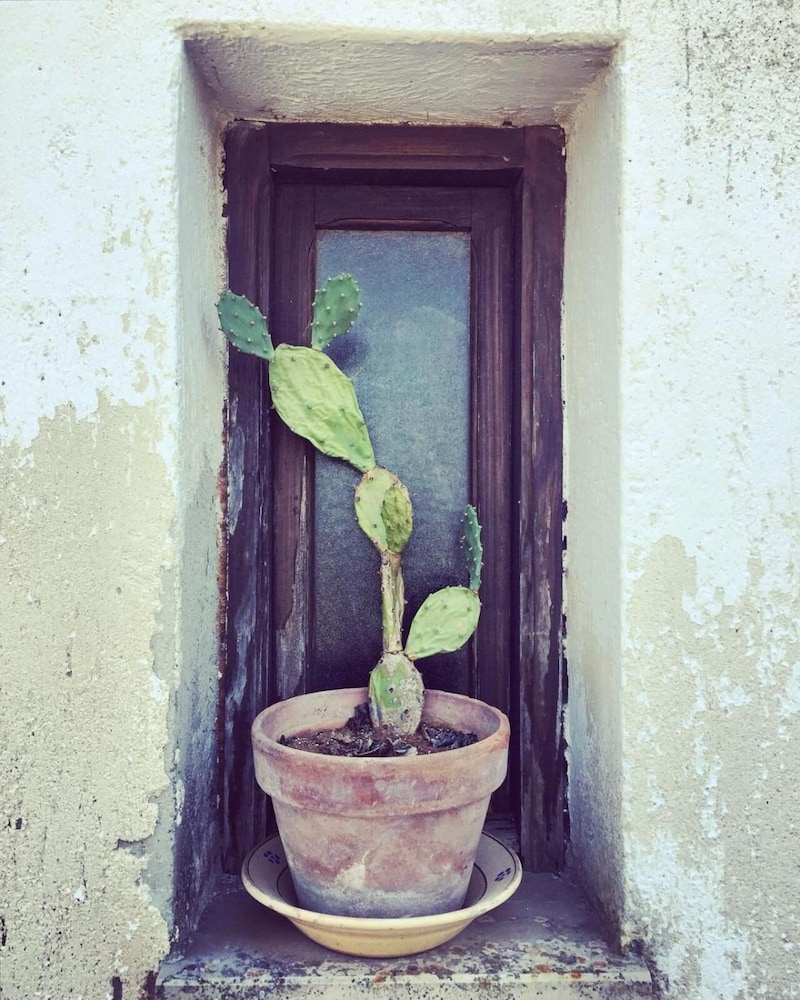 Hotel Masseria Fabrizio 26/62