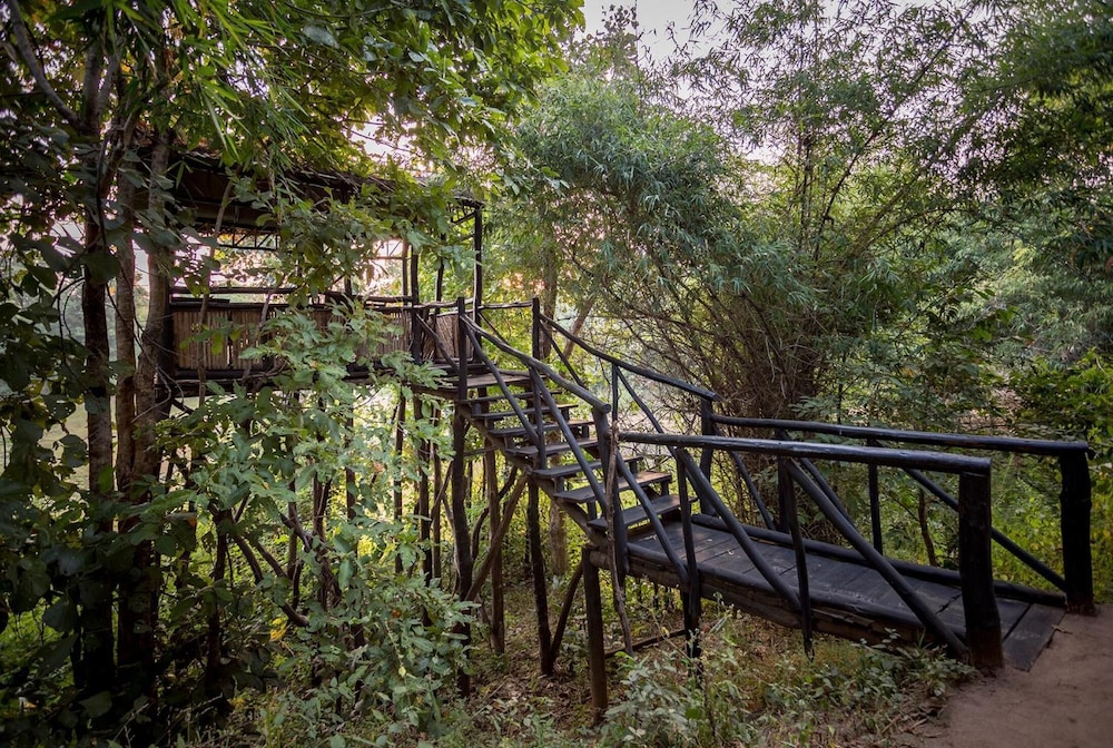 TREE HOUSE HIDEAWAY 13/50